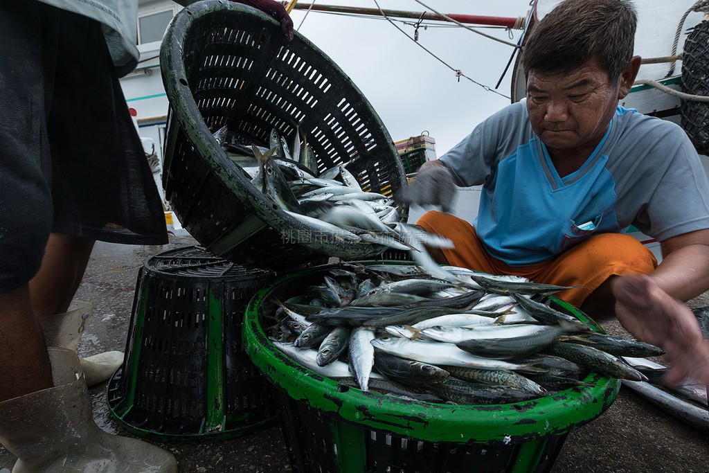 漁獲