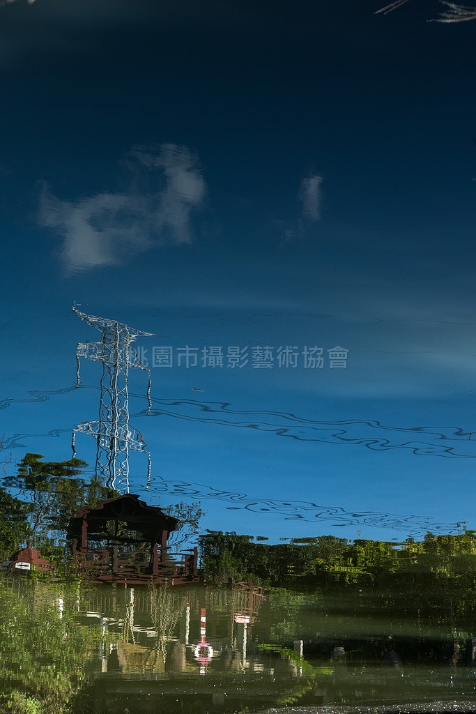 自在遨遊