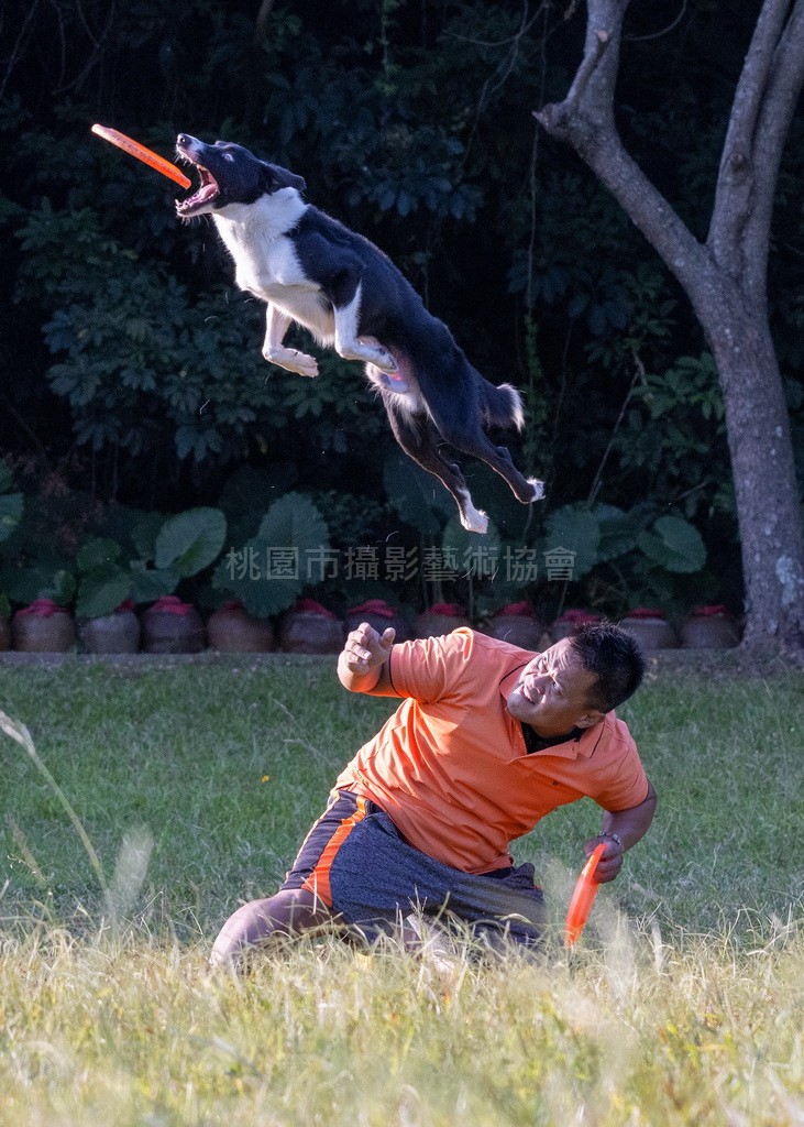 近在咫尺