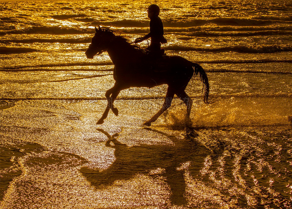 飛舞的姑娘