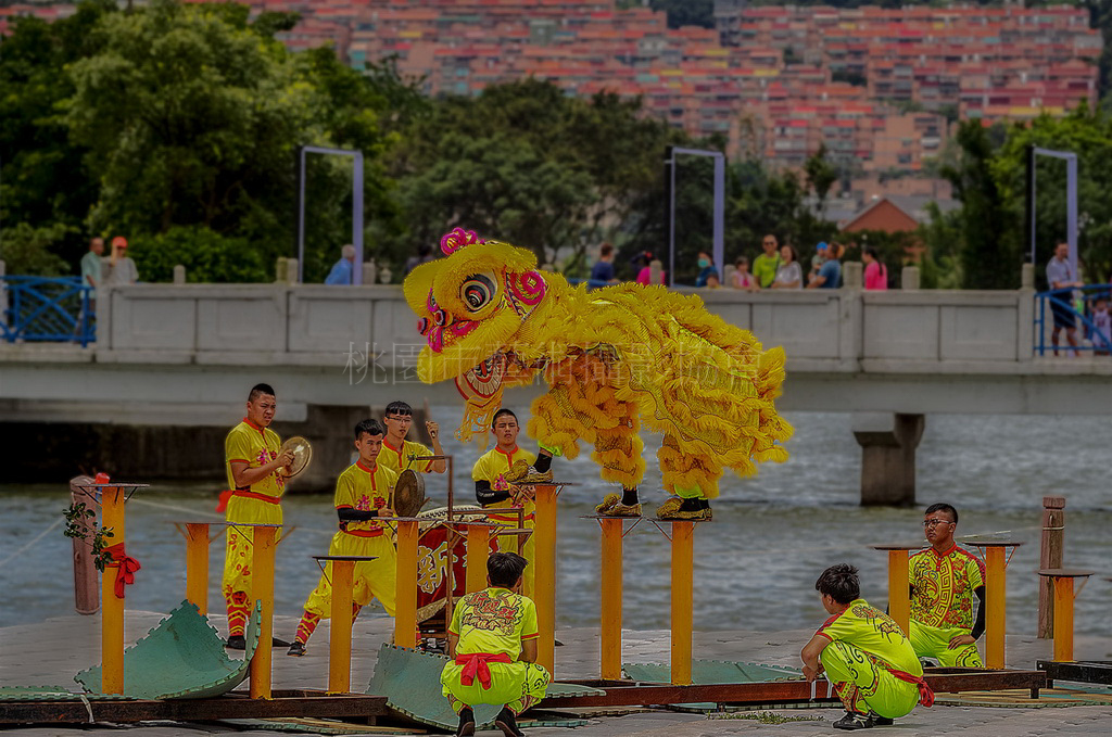 桐樑火龍