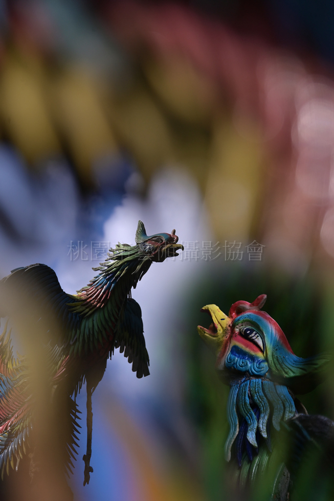 戲鳳