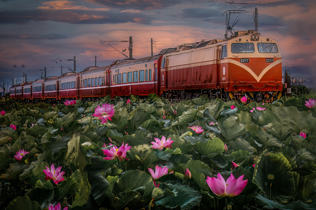 通宵列車賞荷趣