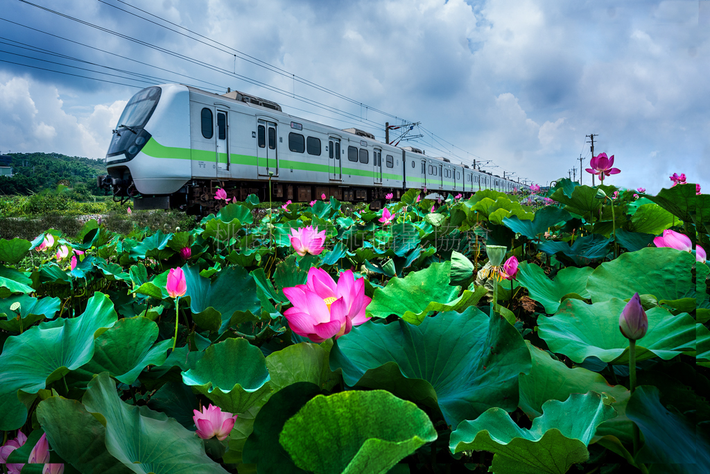 台鐵與荷共舞