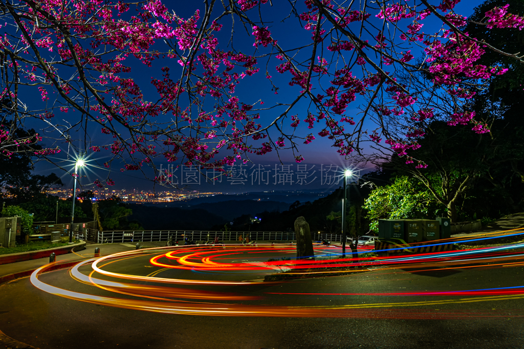櫻花車軌