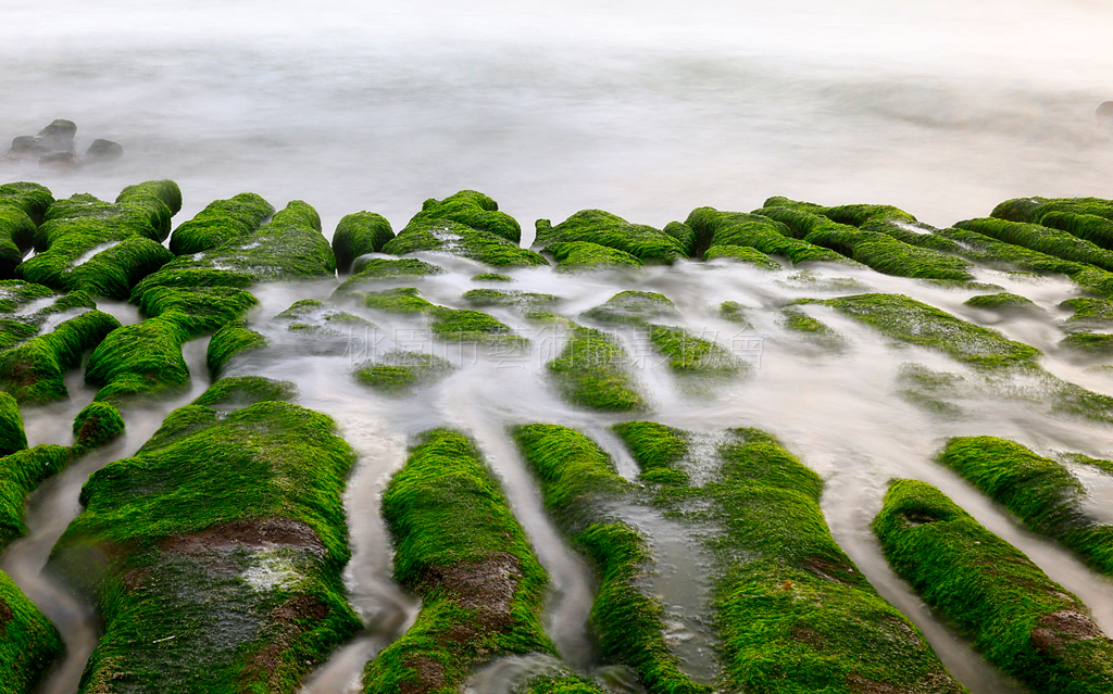 抹茶海岸
