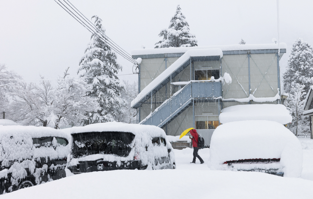 雪中行