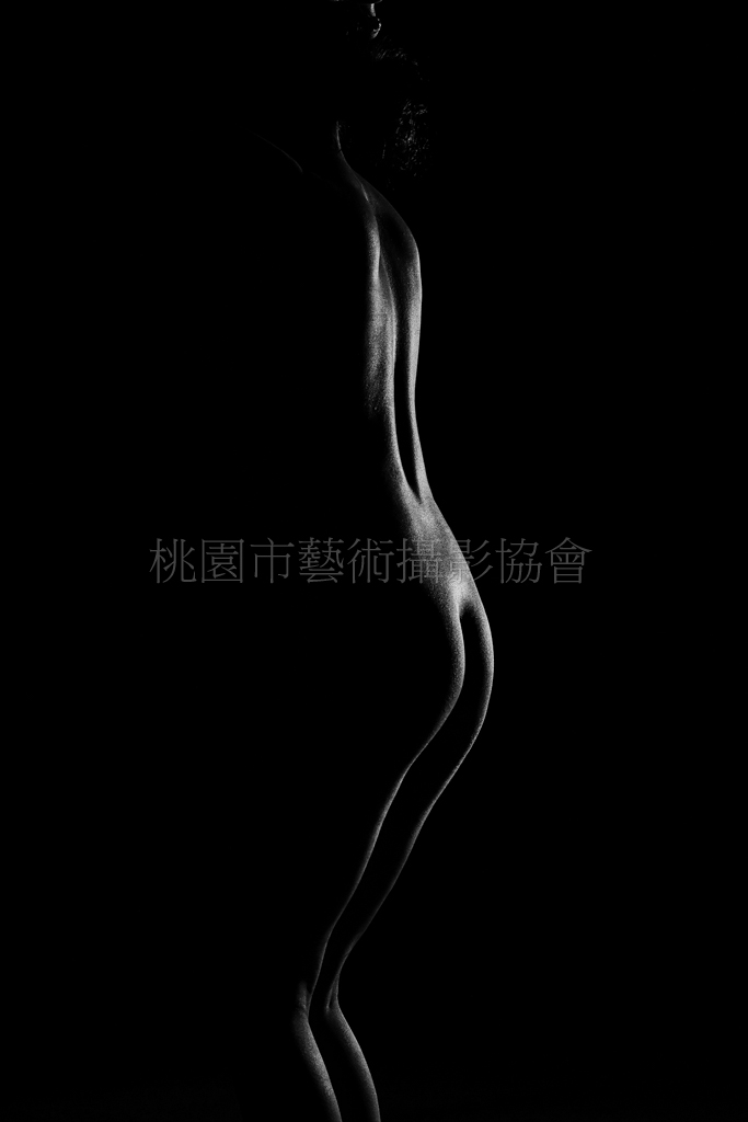 曲線