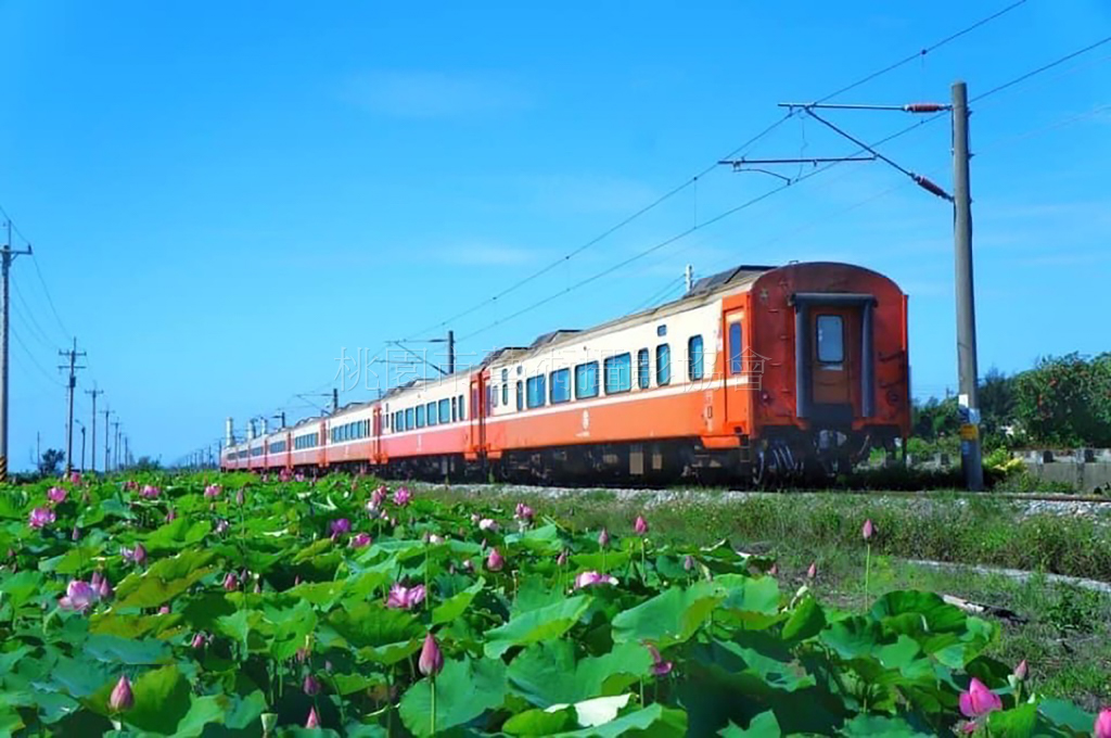 荷花火車