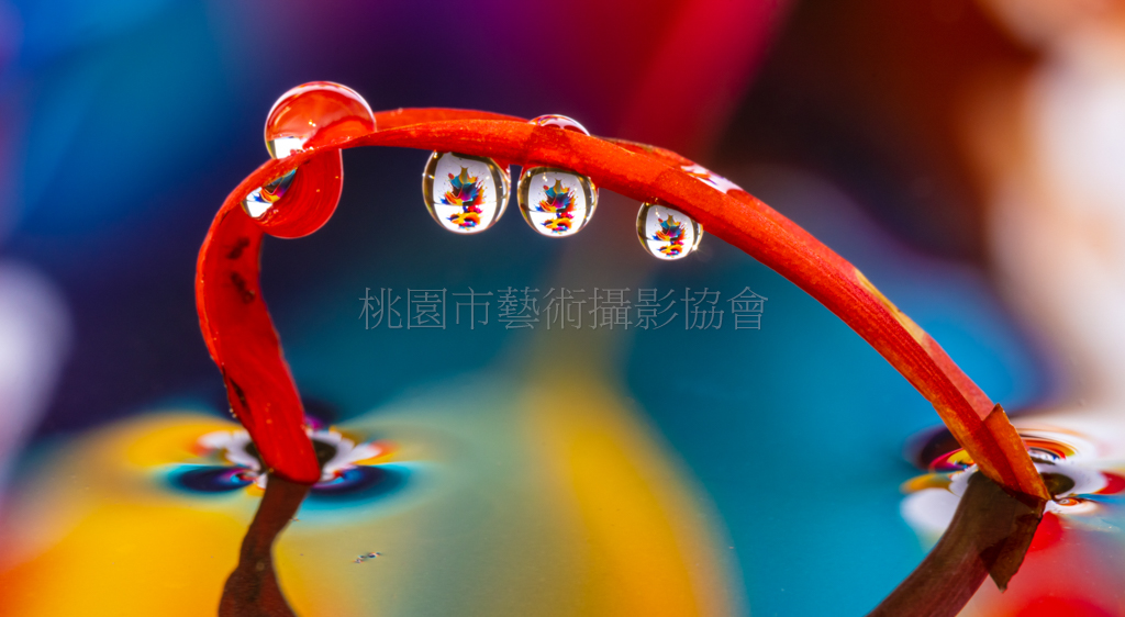 露珠映彩