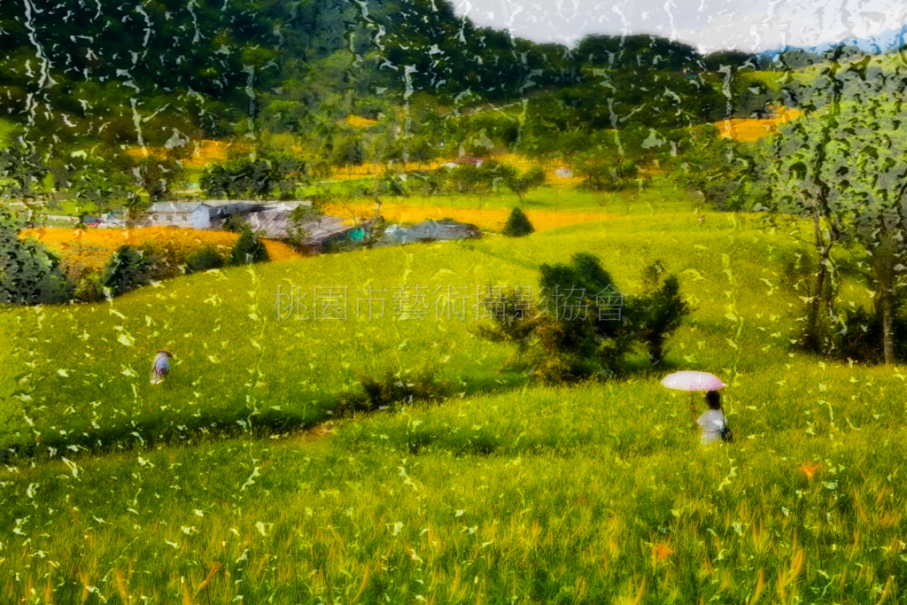 雨景