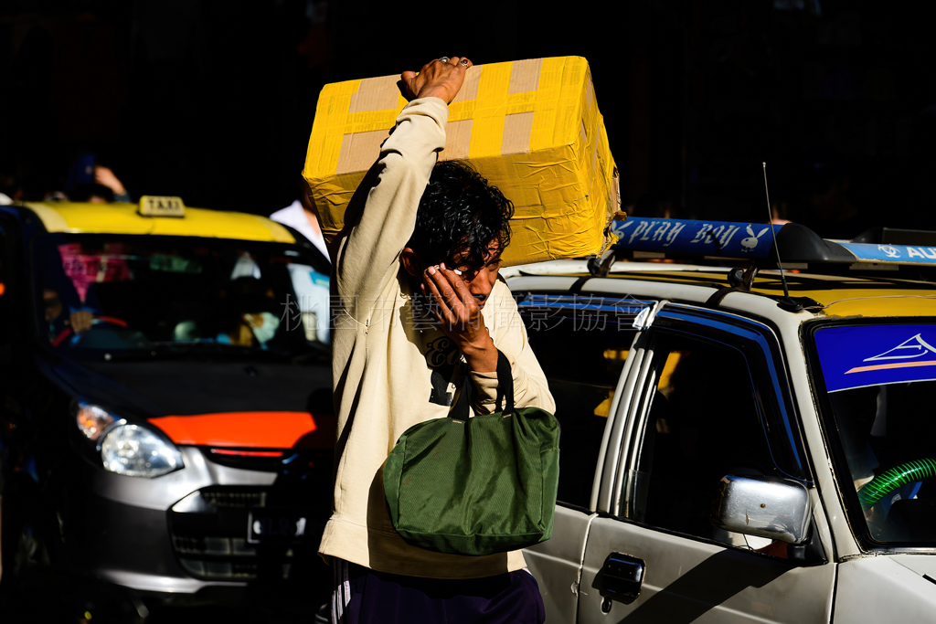 生命的奔波
