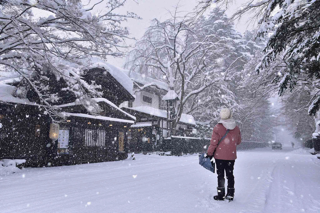 賞雪