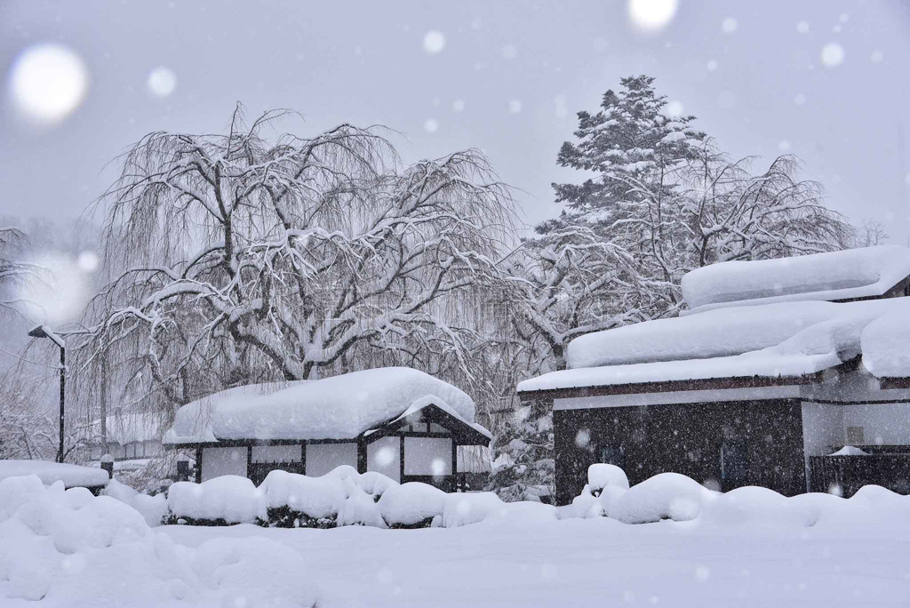 雪鄉