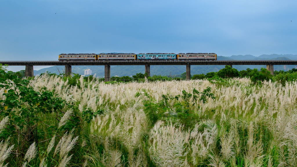 旅行