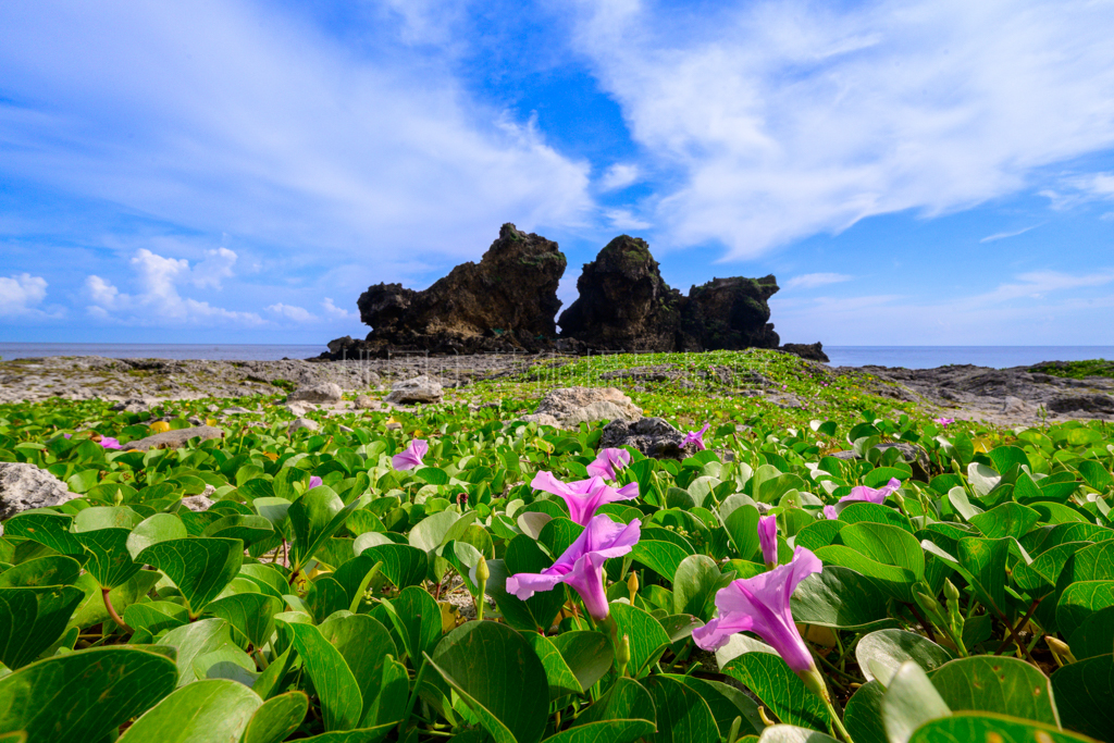 夏天