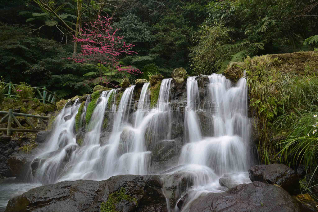 陽明山