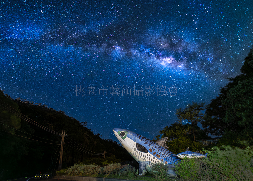 鯖魚銀河