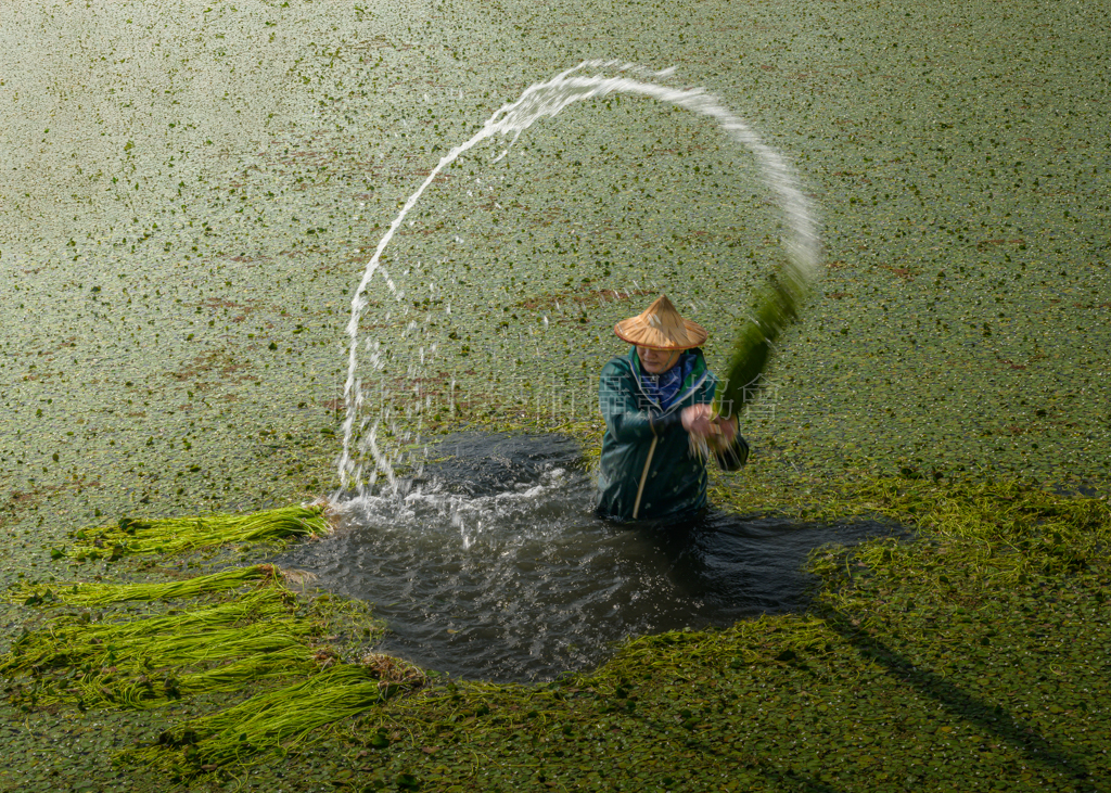 戲水