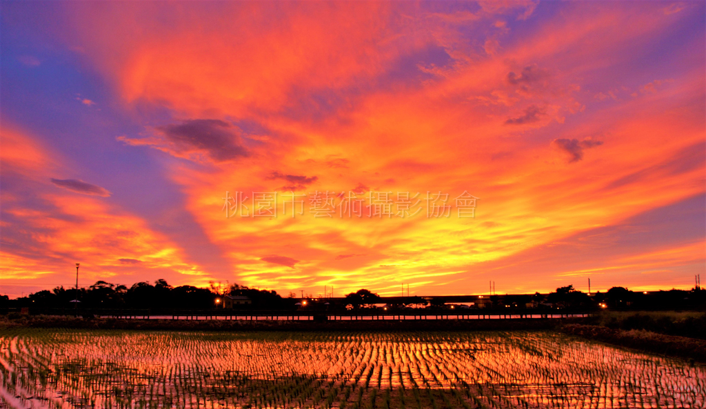 夏日夕陽