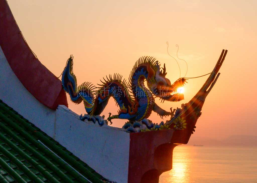 龍含金陽