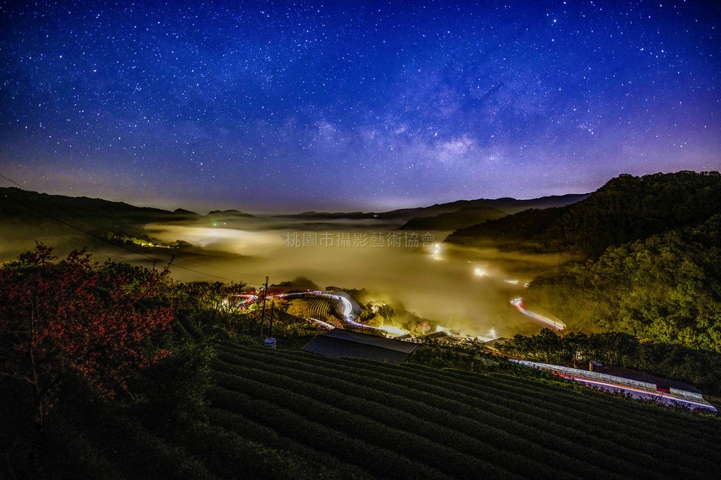 夢幻茶園