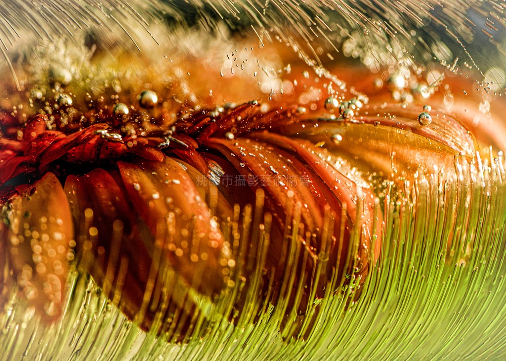 凝雨