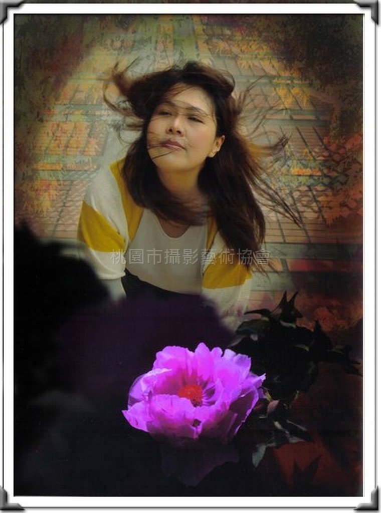 迷網