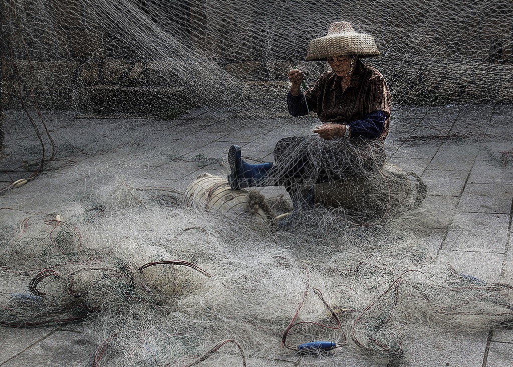 補魚網