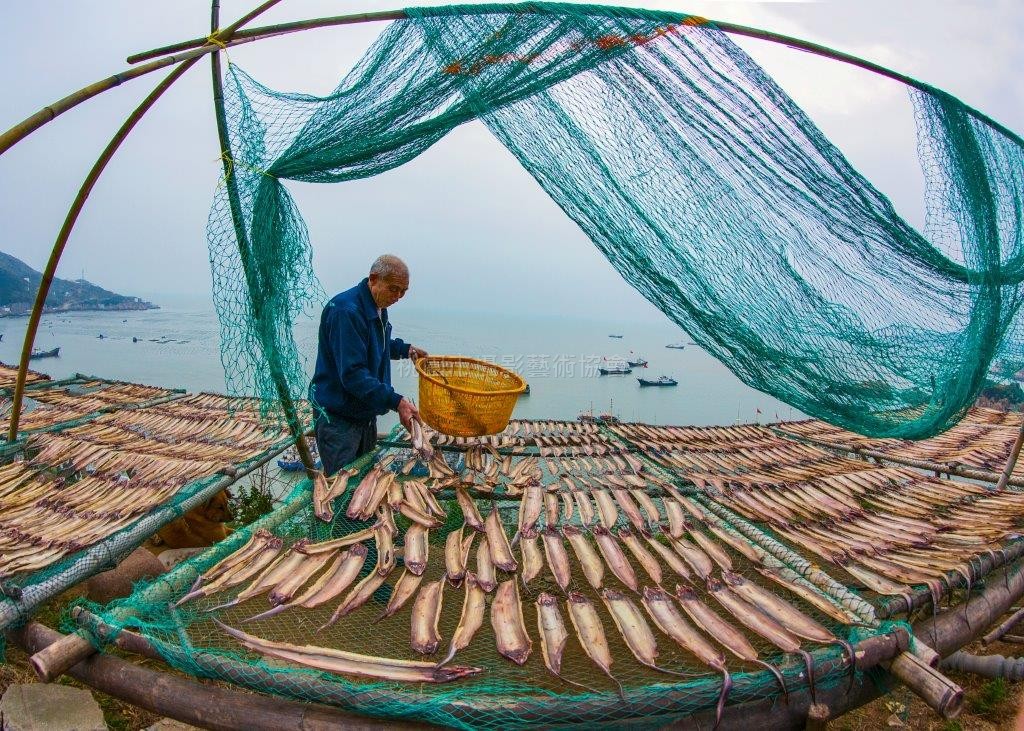 曬魚肝