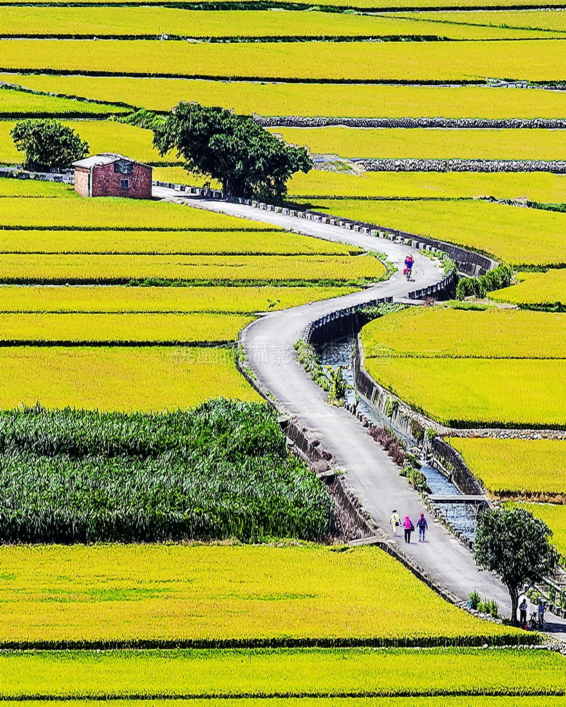 田間小路