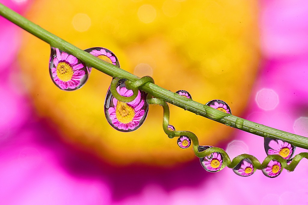 夢幻水珠