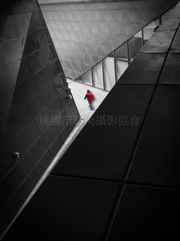心之所向