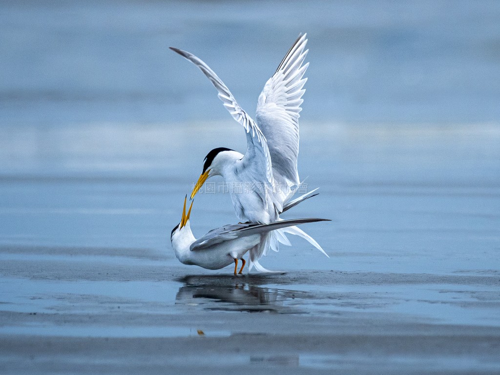 永浴愛河