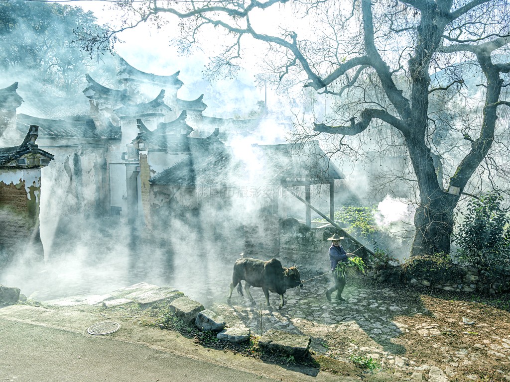 農遐