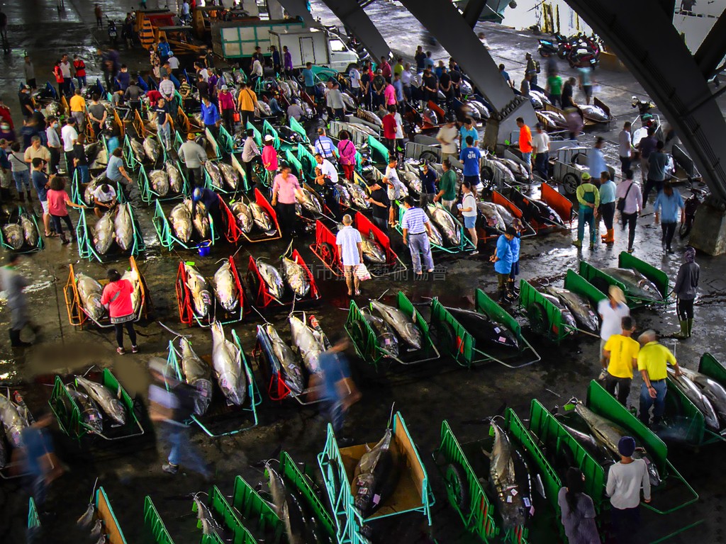 鮪魚市場
