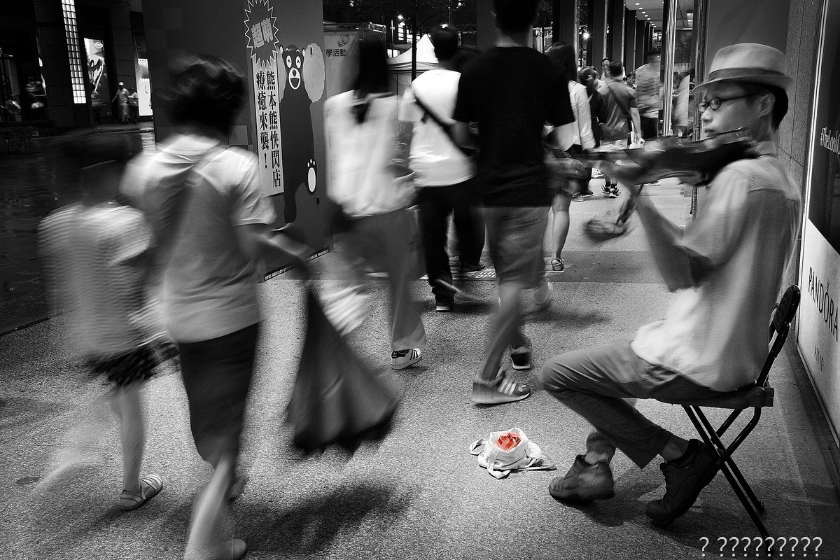 琴聲意動