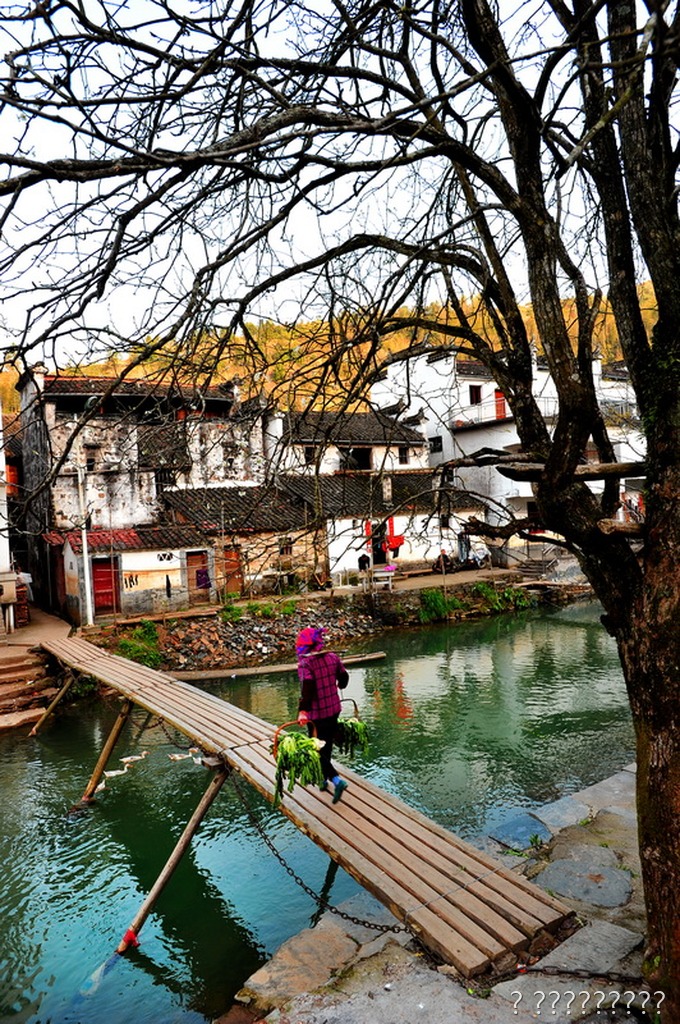 村景