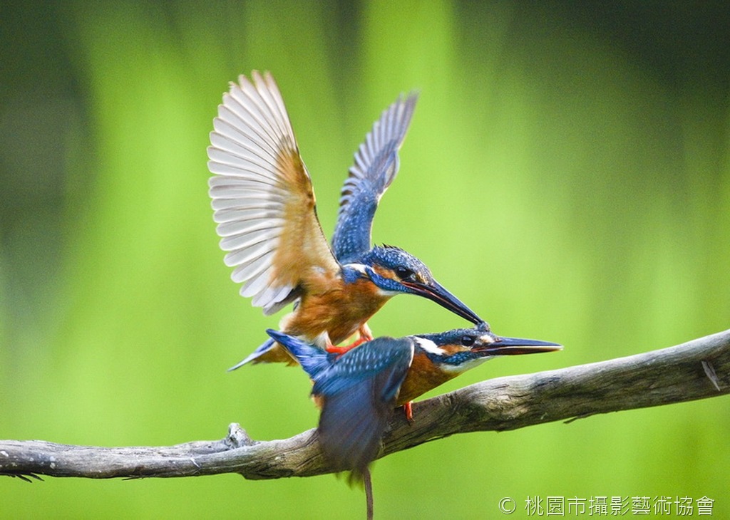 恩恩愛愛