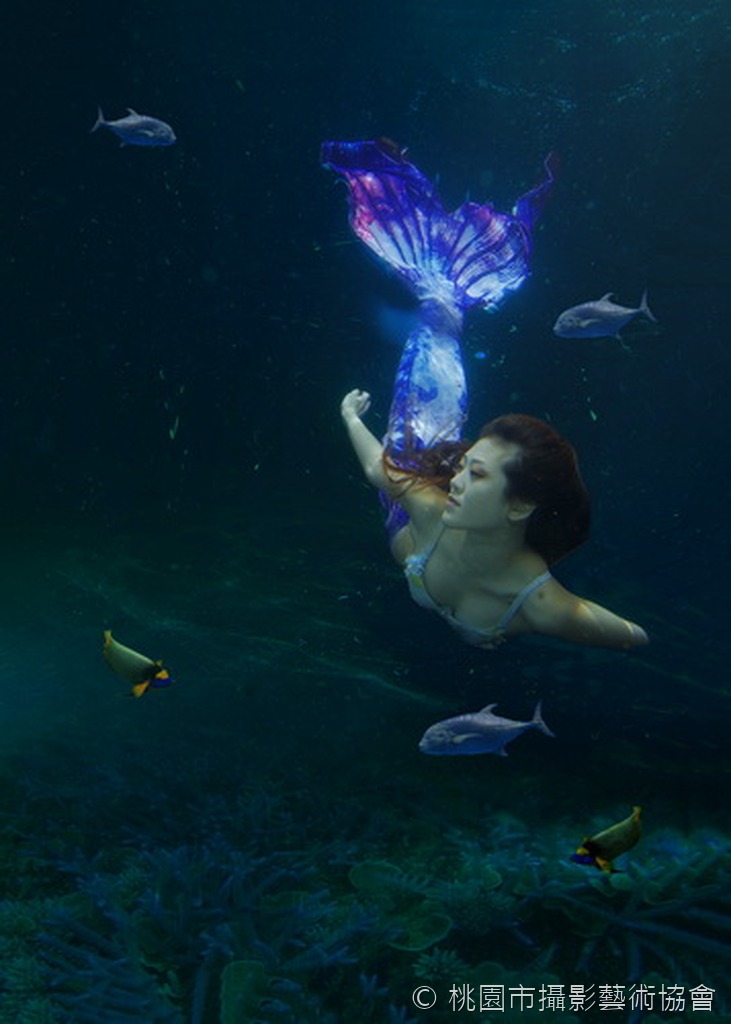 美人魚
