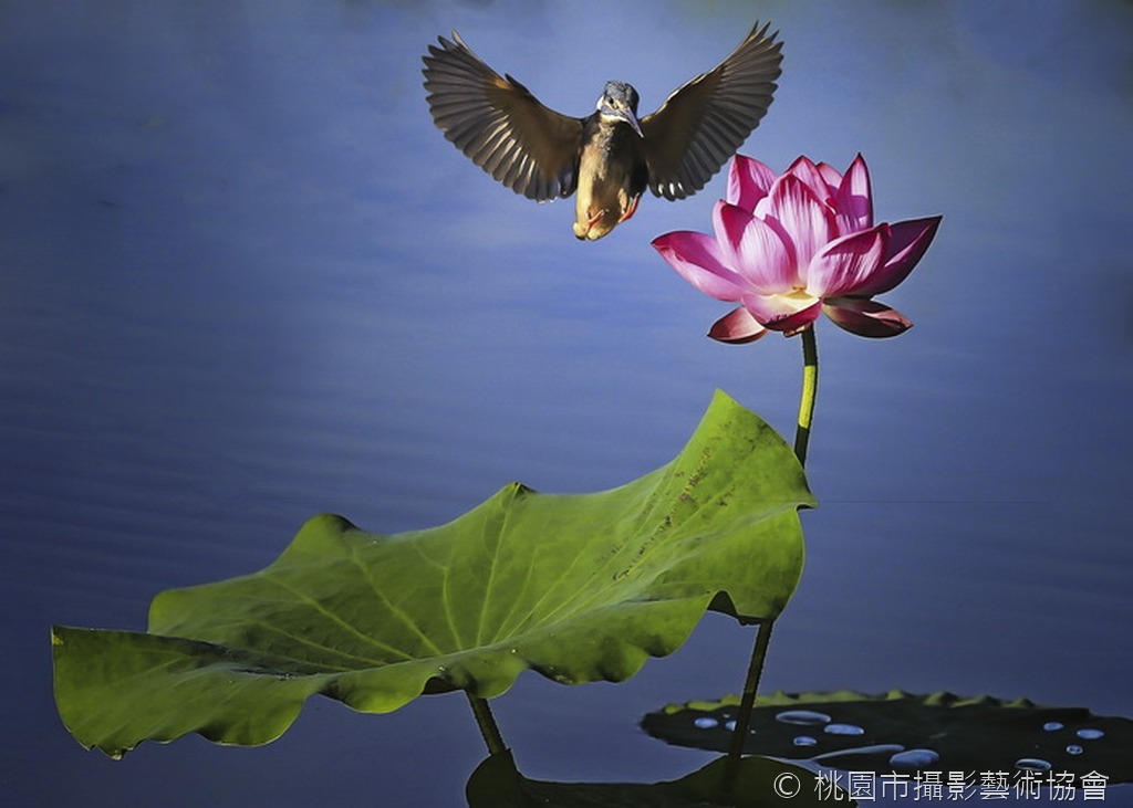駐足之處