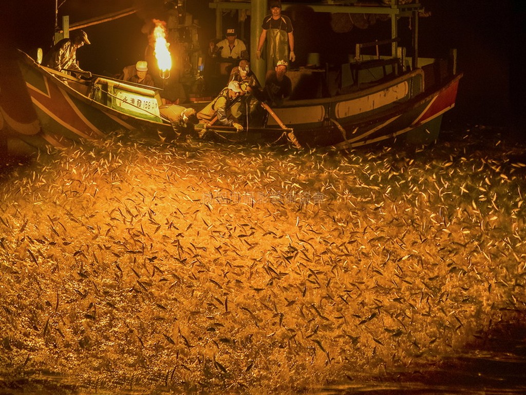 磺火捕魚