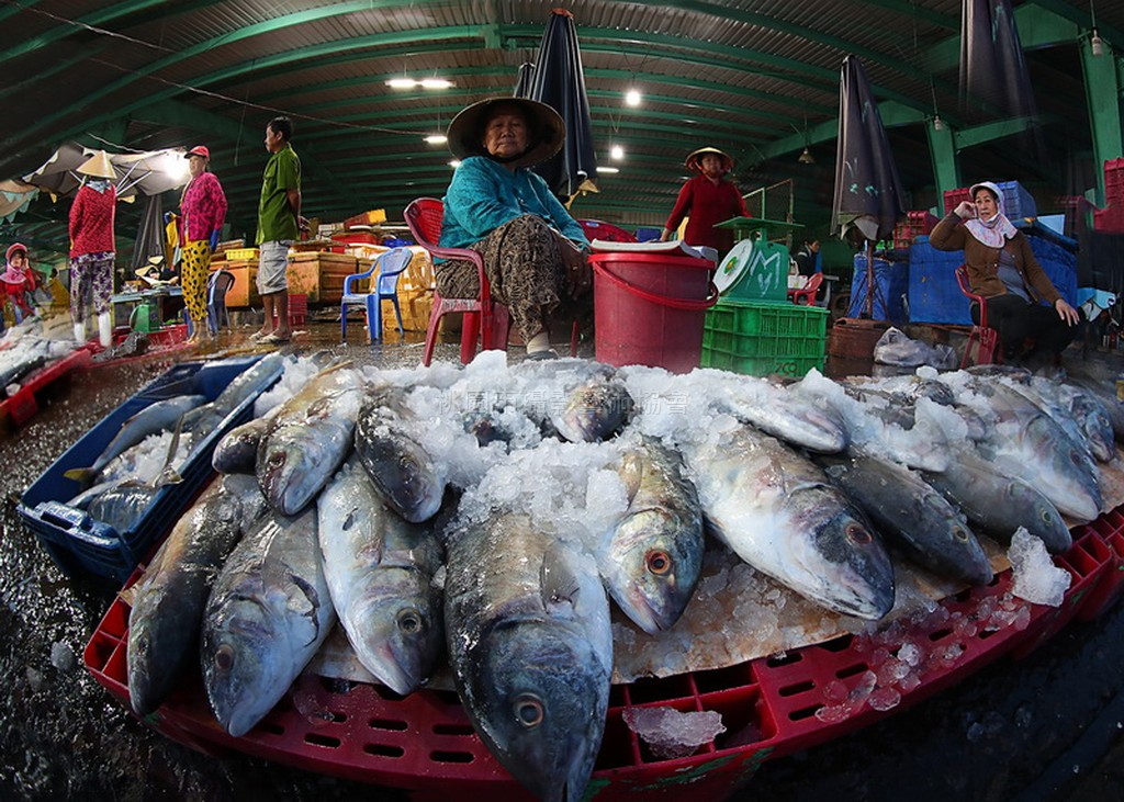 賣魚貨