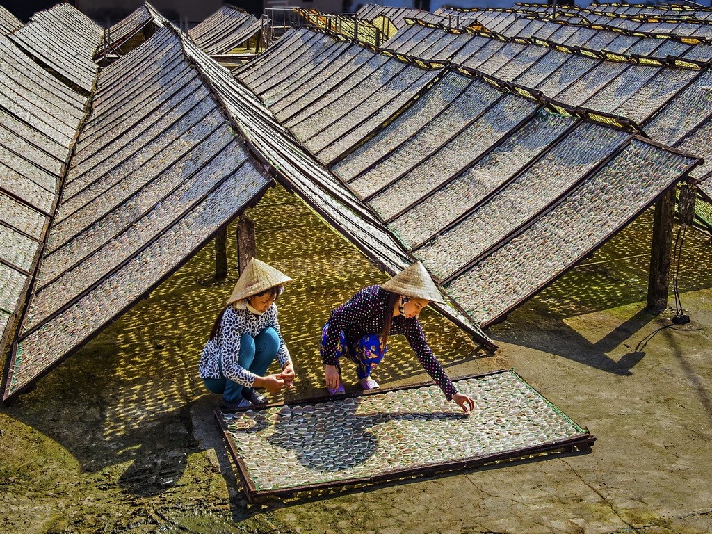 曬魚乾