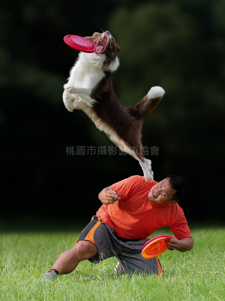 大顯身手