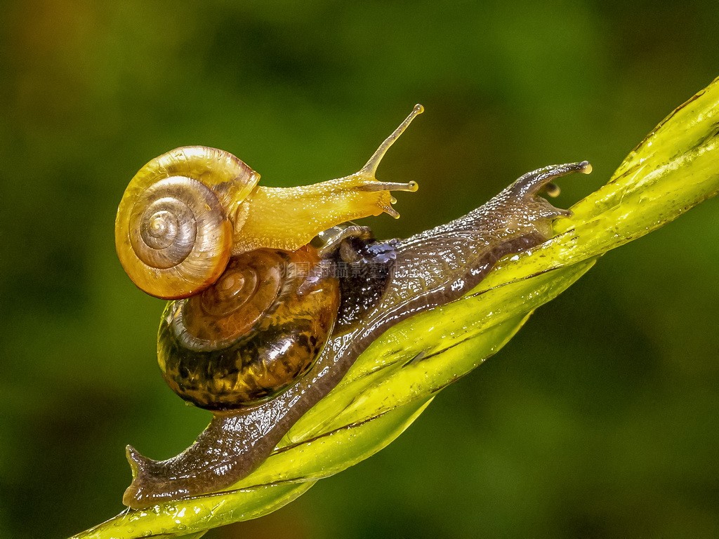 相隨