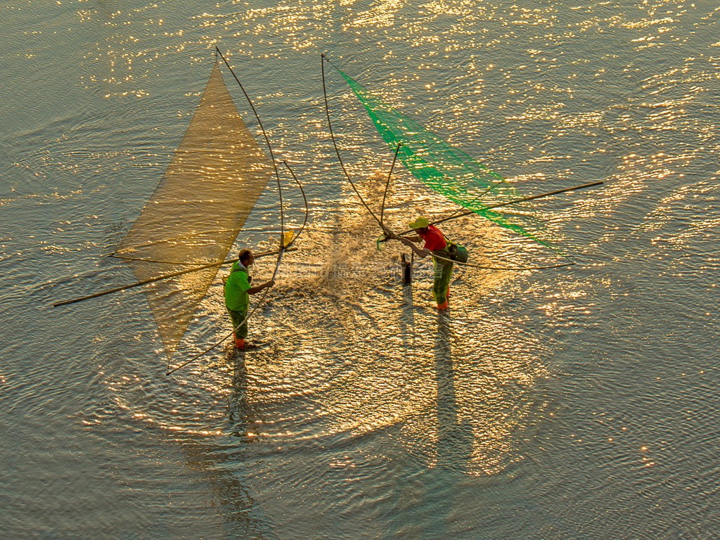 撈魚苗