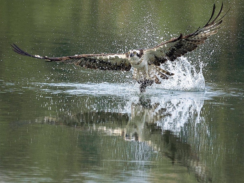 霸氣