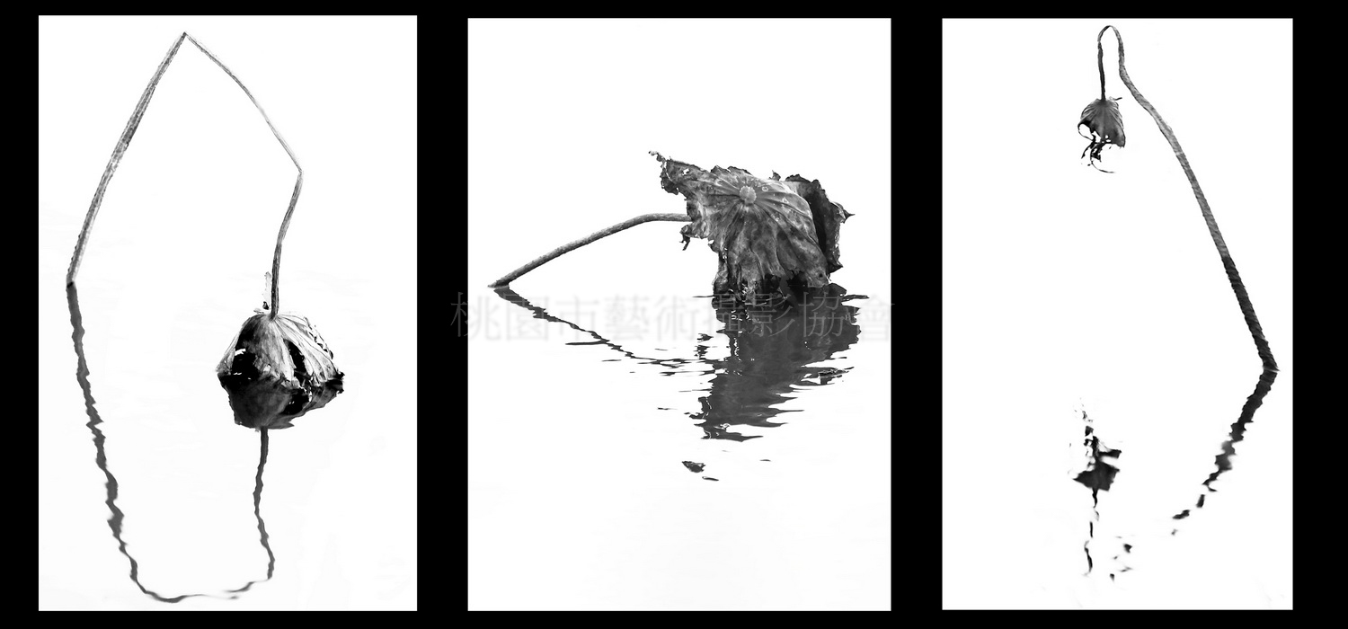殘荷（連作）