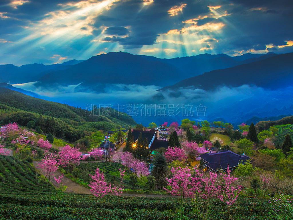 山上人家